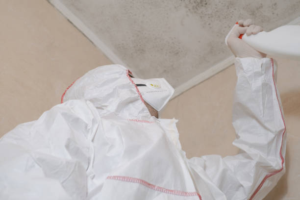 Mold Remediation